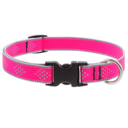 LupinePet Reflective Pink Diamond Nylon Dog Adjustable Collar