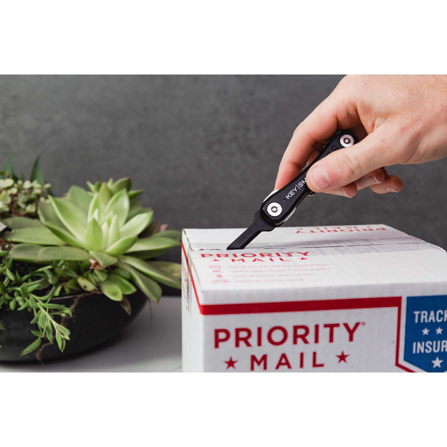 KeySmart SafeBlade Plastic Black Keychain Knife - Ace Hardware
