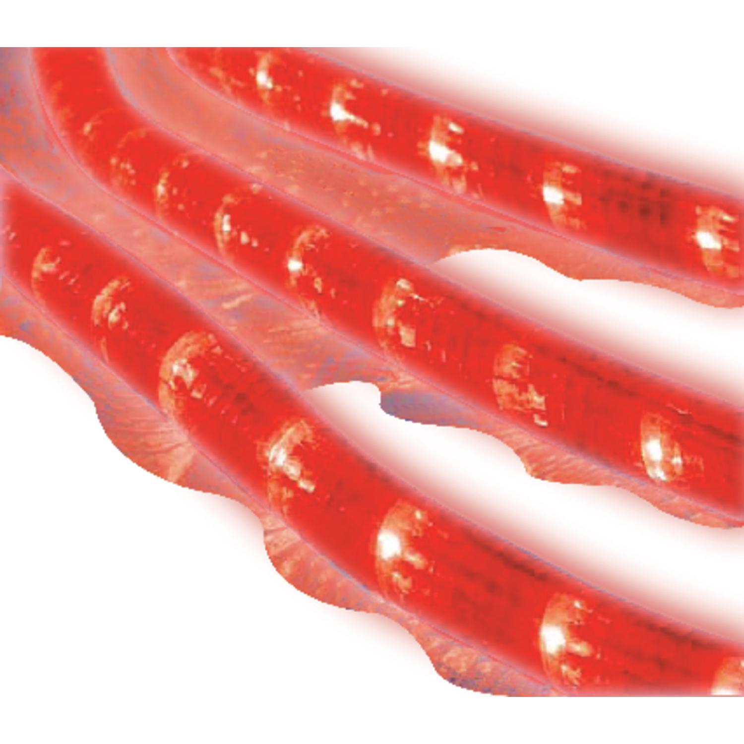 UPC 843518021781 product image for Celebrations 18' Red Rope Lights (2T41A514) | upcitemdb.com