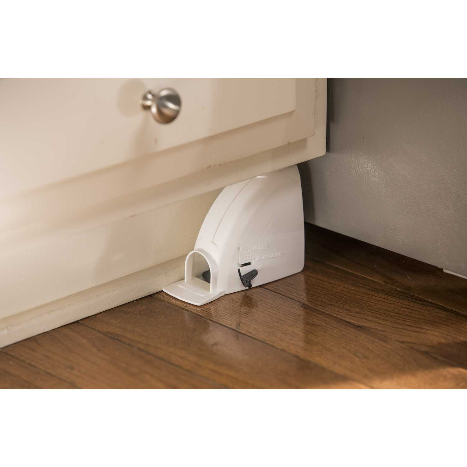 Tomcat Kill & Contain Covered Animal Trap For Mice 2 pk Ace Hardware