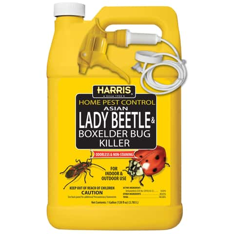 Harris Home Pest Control Insect Killer Liquid 1 gal - Ace Hardware