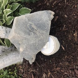DekoRRa Products Gray Polyethylene 12 in. H X 24 in. L X 12 in. W Artificial Landscape Enclosure Out