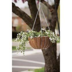 Panacea Steel Hanging Basket White