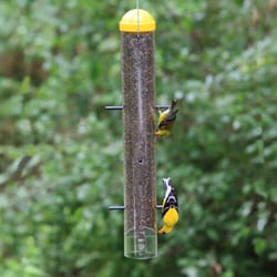 Perky-Pet Finch 2 lb Plastic Upside-Down Bird Feeder 6 ports