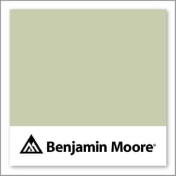 Benjamin Moore Spring Meadow 486