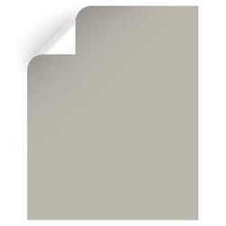 Magnolia Home by Joanna Gaines Sunday Stroll Peel & Stick Color Sample MAG003