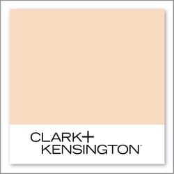 Clark+Kensington Ribbons of Raffia 14B-2