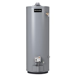 Reliance 30 gal 35500 BTU Natural Gas/Propane Mobile Home Water Heater