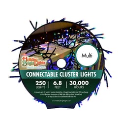 Holiday Bright Lights LED Rice Cluster Multicolored 250 ct String Christmas Lights 6.8 ft.