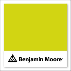 Benjamin Moore New Lime 2025-30