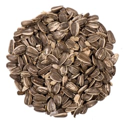 Nature's Nuts Premium Assorted Species Striped Sunflower Seed Wild Bird Food 3 lb