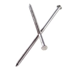 Simpson Strong-Tie 2D 5/32 in. Siding Stainless Steel Nail Round Head 1 lb