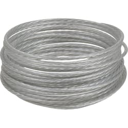 HILLMAN Plastic Coated Silver Picture Wire 30 lb 1 pk