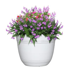 L&G Solutions 11 in. H X 14.5 in. D Polyresin Galileo Planter White