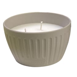 Coleman Candle Solid 11 oz