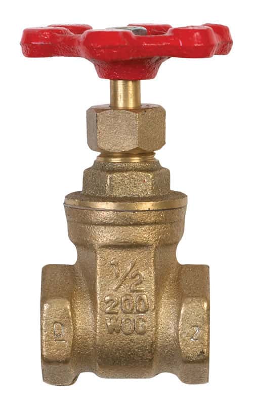 BK Products ProLine 1/2 in. FIP Brass Gate Valve Ace Hardware
