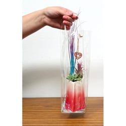 Eve's Garden 10 in. H X 2.5 in. W X 2.5 in. D Ceramic Pearlized Air Plant and Succulent Multicolored