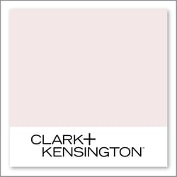 Clark+Kensington Bahamian Conch 07C-1