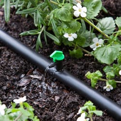 Raindrip Spot Drip Irrigation Dripper 2 gph