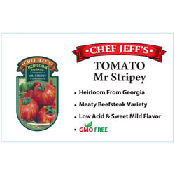 Chef Jeff Red Heirloom Mr. Stripey Tomato Vegetable Plant