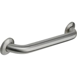 Delta 24 in. L ADA Compliant Peened Stainless Steel Grab Bar