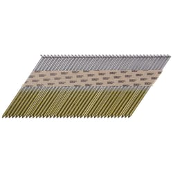 Senco 3-1/2 in. L X 16 Ga. Angled Strip Bright Framing Nails 34 deg 2,500 pk