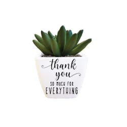 Sentiment Succulents 4 in. H X 2.25 in. L Multicolored Plastic Planter