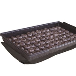 Jiffy 11 in. W X 22 in. L Seed Starting Tray 1 pk