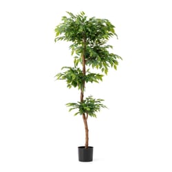 Glitzhome Green Plastic 61 in. H X 24 in. W Artificial Potted Plant