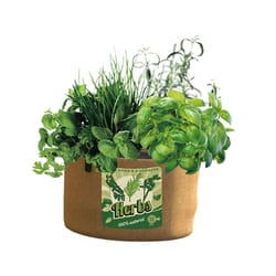 Panacea Burlap Herb Planter Brown