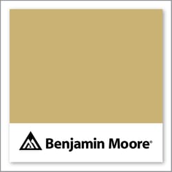 Benjamin Moore Gemstone 265