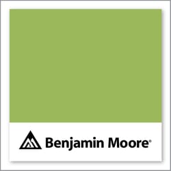 Benjamin Moore Blooming Grove 413