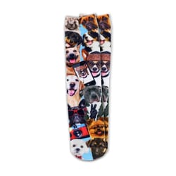 Two Left Feet Unisex Dog M/L Novelty Socks Multicolored