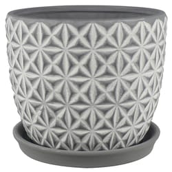 Trendspot Tribeca 7.3 in. H X 8.3 in. W X 8.3 in. D X 8 in. D Ceramic Planter Charcoal