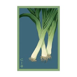 Chive Shido Seed Co. Leek Seeds 1 pk