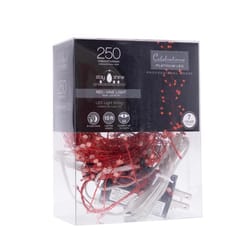 Celebrations Platinum LED Big Seed Cluster Red 250 ct String Christmas Lights 10 ft.