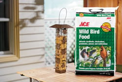 Perky-Pet® Squirrel Stumper Wild Bird Feeder