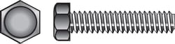 HILLMAN 1/4 in. D X 2 in. L Zinc Plated Steel Hex Tap Bolt 100 pk