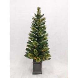 Celebrations 4 ft. Full LED 50 ct Mixed Pine Potted Color Changing Christmas Tree