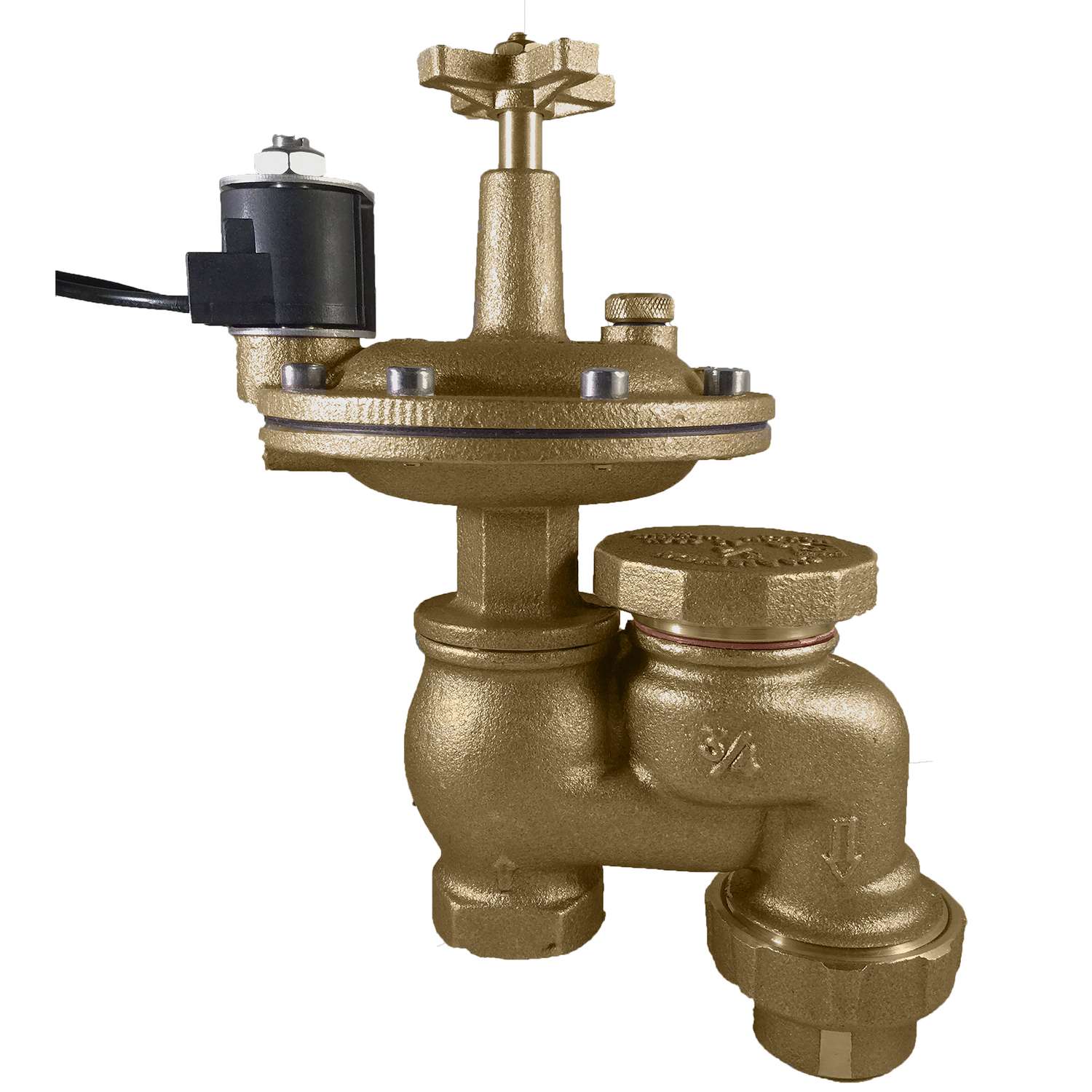 Champion Classic Anti-Siphon Valve with Union 3/4 in. 150 psi - Ace ...