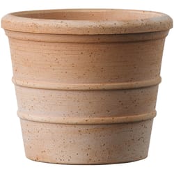 Deroma Siena 3.7 in. H X 4.3 in. D Clay Vaso Mini Planter Terracotta