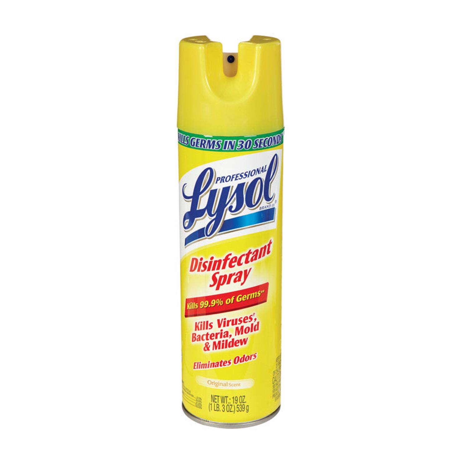 Lysol Professional Original Scent Disinfectant Spray 19 oz 1 pk