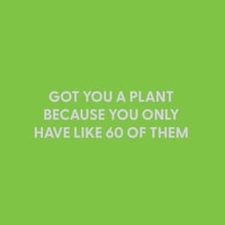 Chive Blank Greeting Card Got You a Plant Because You Only Have Like 60 of Them