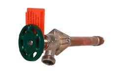 Arrowhead 1/2 in. FIP X 3/4 in. MIP Anti-Siphon Brass Hydrant