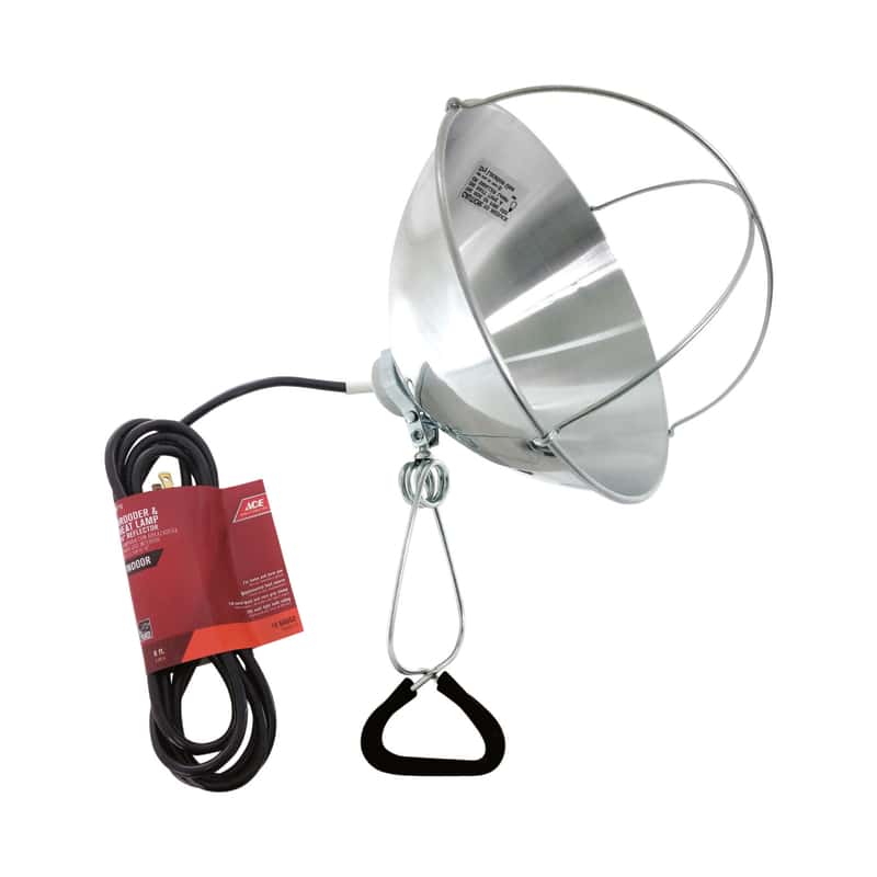 Ace 250 W Brooder and Heat Lamp - Ace Hardware