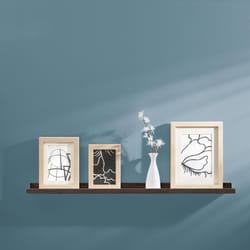 Dolle Border 1.2 in. H X 23.6 in. W X 3.5 in. D Espresso Particle Board Decorative Wall Shelf
