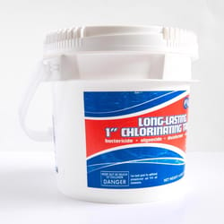 Coastal 1" Tablet Chlorinating Chemicals 4 lb