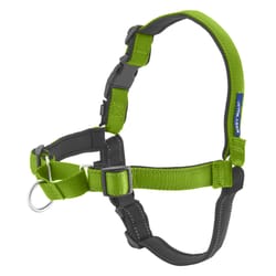 PetSafe Deluxe Easy Walk Green Nylon Dog Harness Large