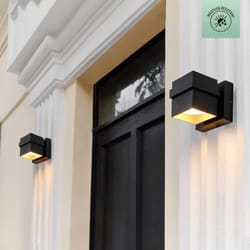 Globe Electric 1-Light Matte Black Wall Sconce