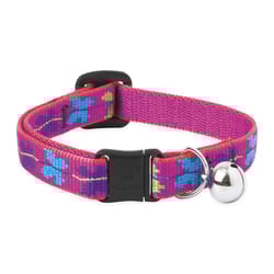 Lupine Pet Original Designs Multicolor Wing It Nylon Cat Collar